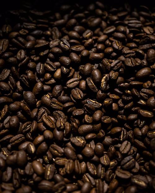 Coffee Processing